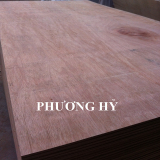 Sell_ Contruction plywood grade AB glue MR